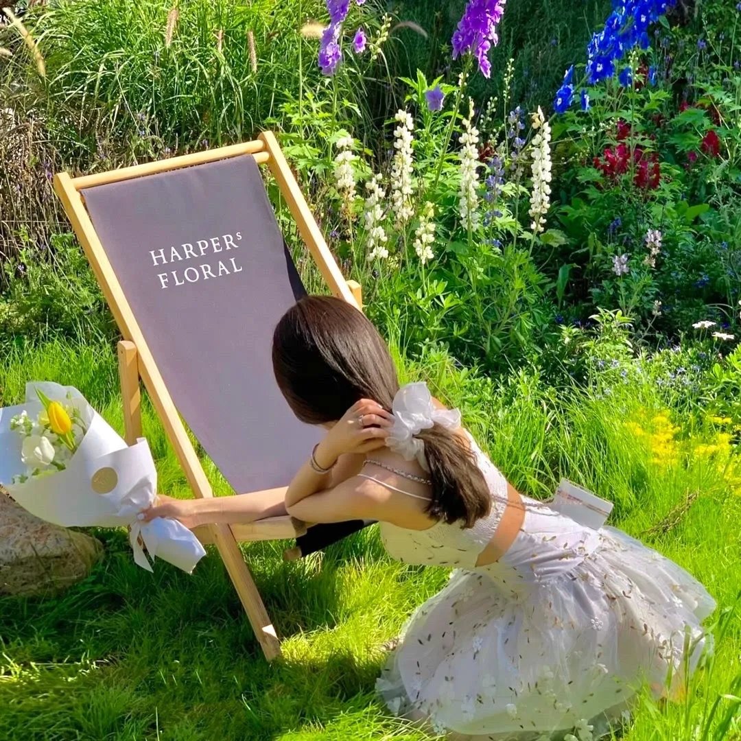 盛宠之锦绣征途 动态漫画第三季